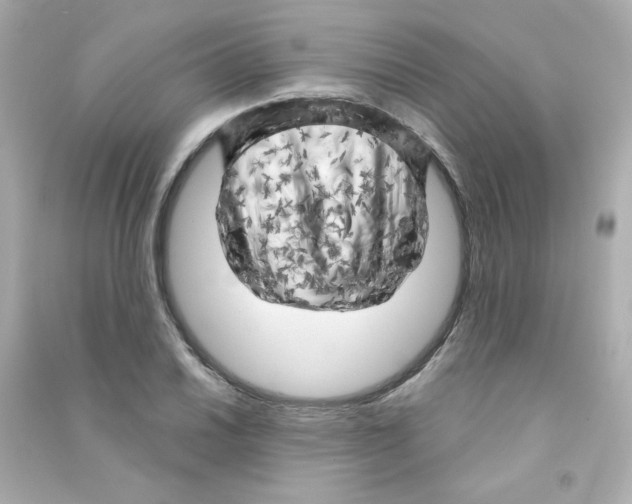 X0000090441030200708102023