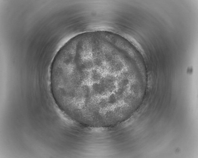 X0000090441031200708102023