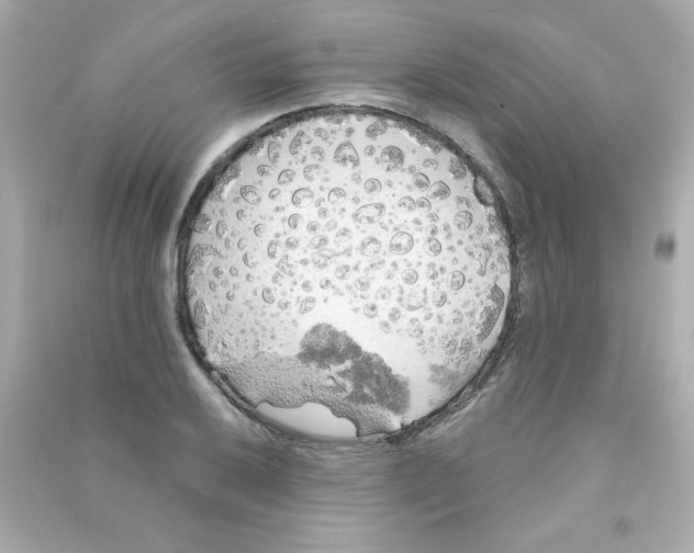 X0000090441032200708102023