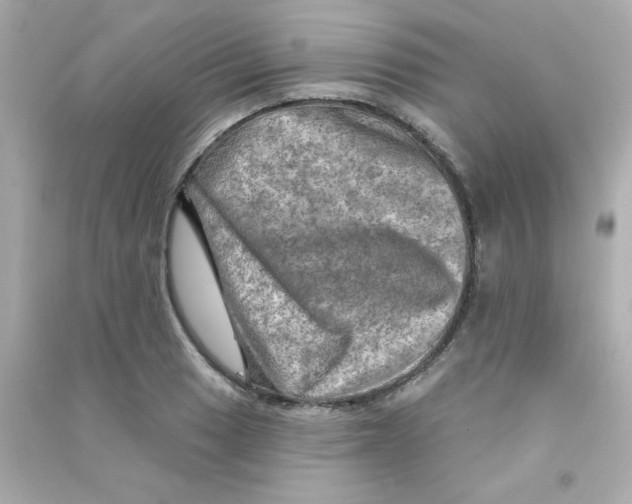 X0000090441033200708102023