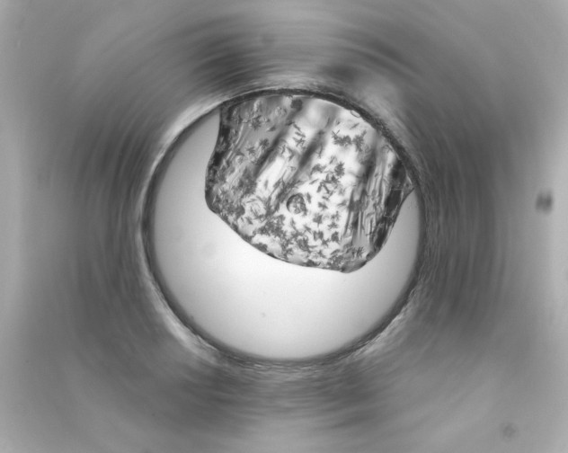 X0000090441034200708102023
