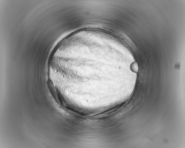 X0000090441036200708102023