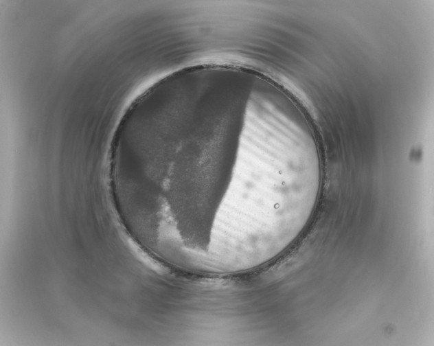 X0000090441037200708102023