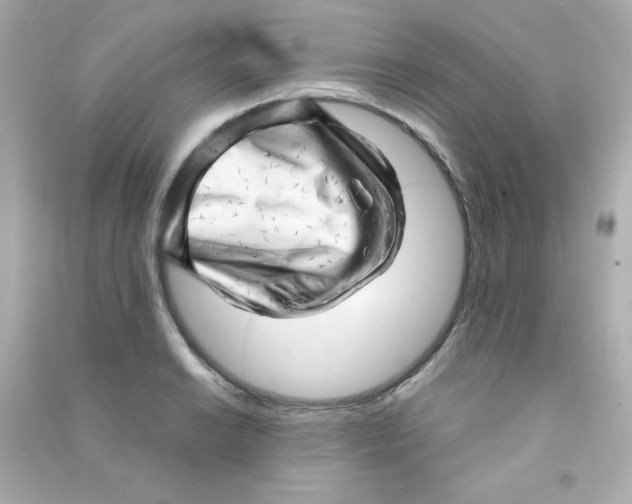 X0000090441038200708102023