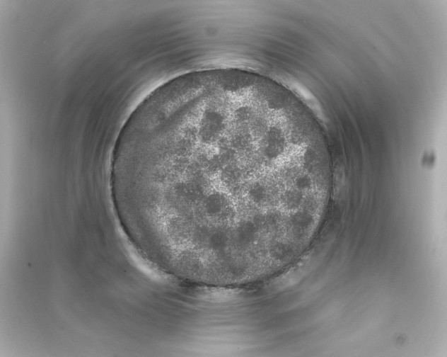 X0000090441039200708102023