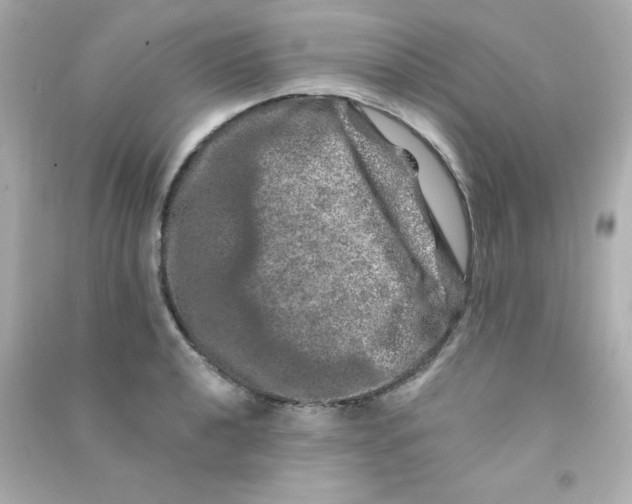 X0000090441040200708102023