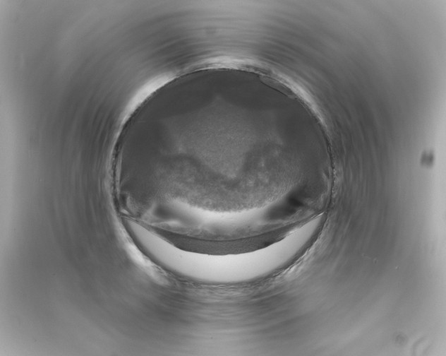 X0000090441042200708102023