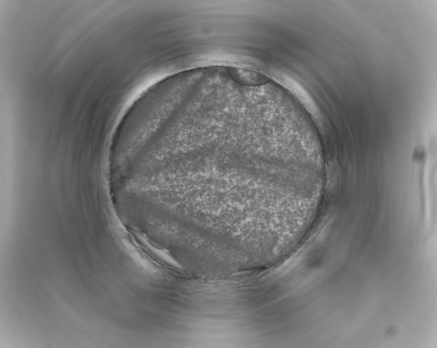 X0000090441043200708102023