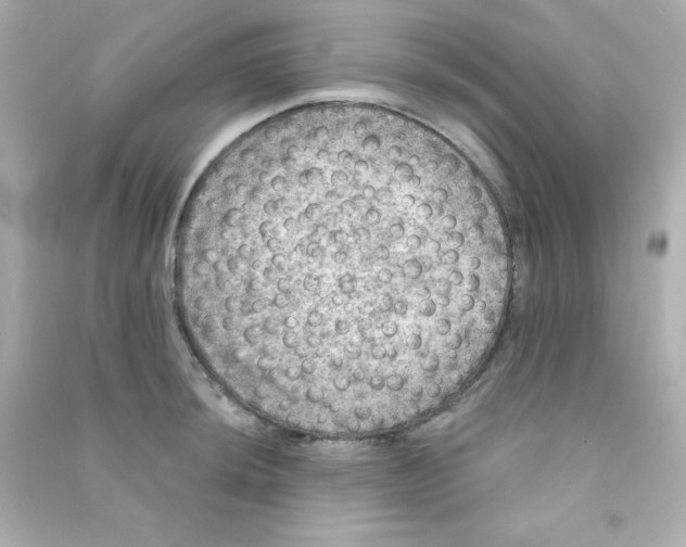 X0000090441044200708102023