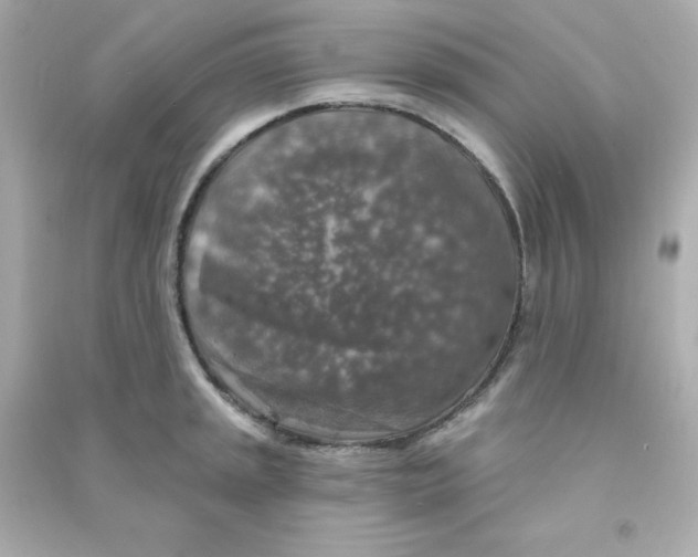 X0000090441045200708102023