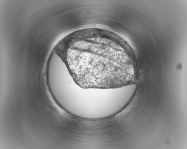 X0000090441046200708102023