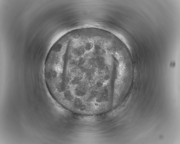 X0000090441047200708102023