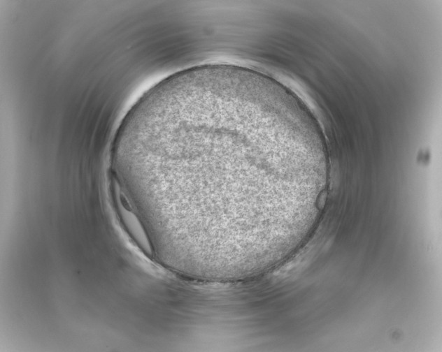 X0000090441048200708102023