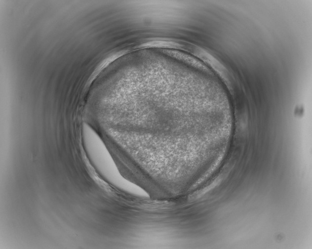 X0000090441049200708102023
