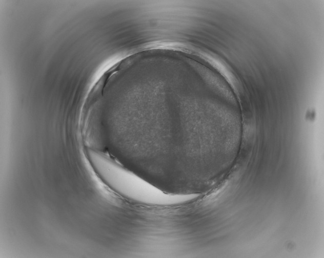 X0000090441050200708102023