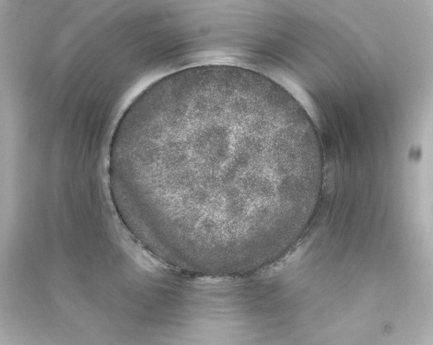 X0000090441051200708102023