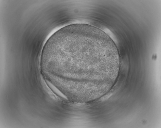 X0000090441052200708102023