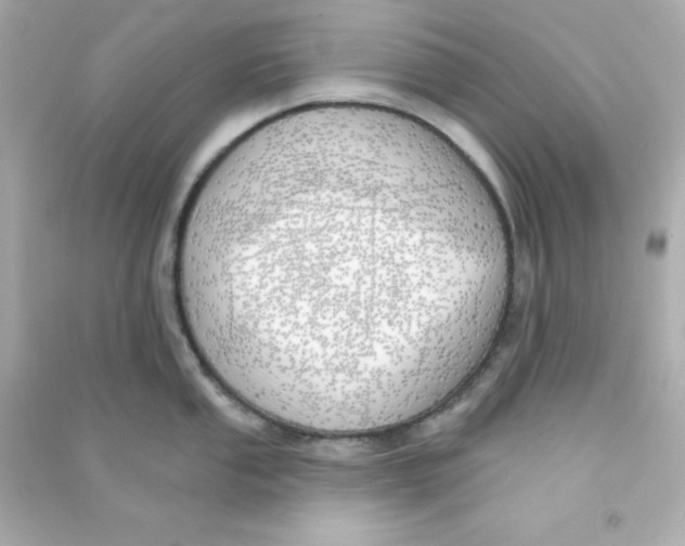 X0000090441053200708102023