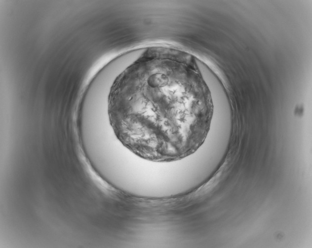 X0000090441054200708102023