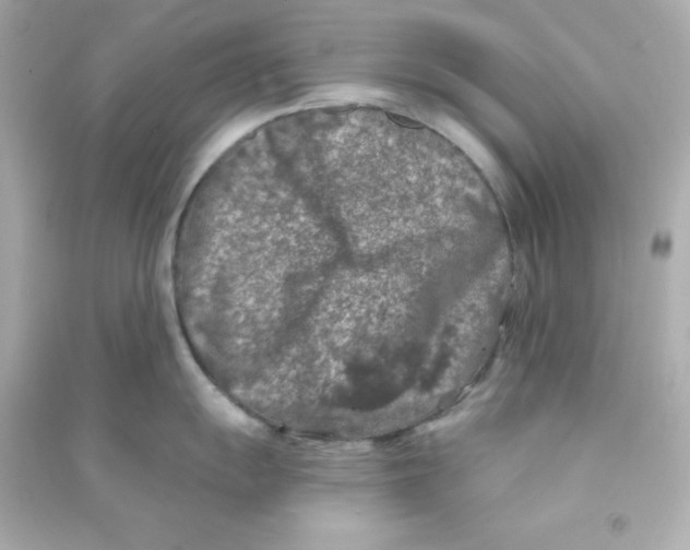X0000090441055200708102023