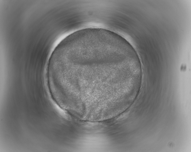 X0000090441056200708102023