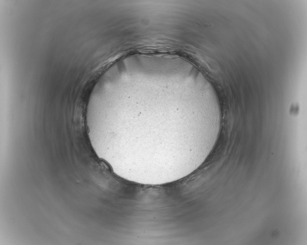 X0000090441058200708102022