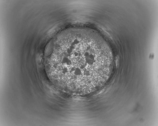 X0000090441059200708102022