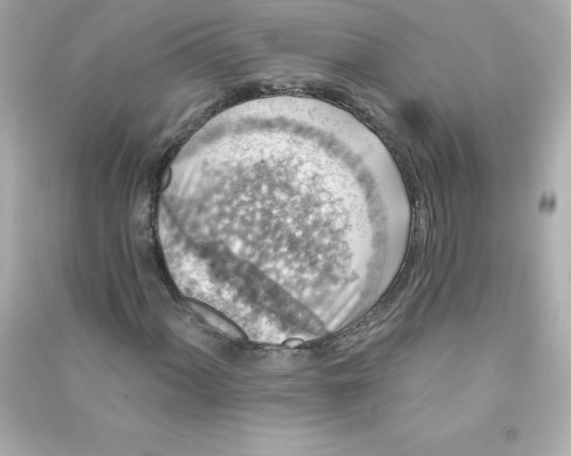 X0000090441060200708102022