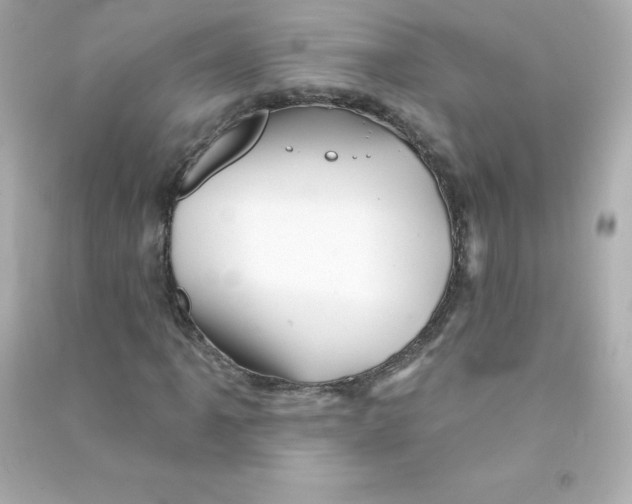 X0000090441061200708102022
