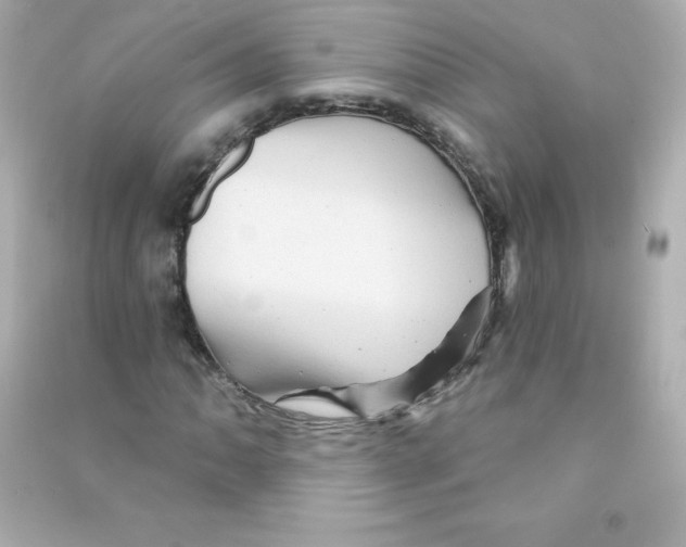 X0000090441062200708102022