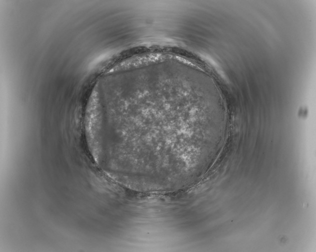 X0000090441063200708102022