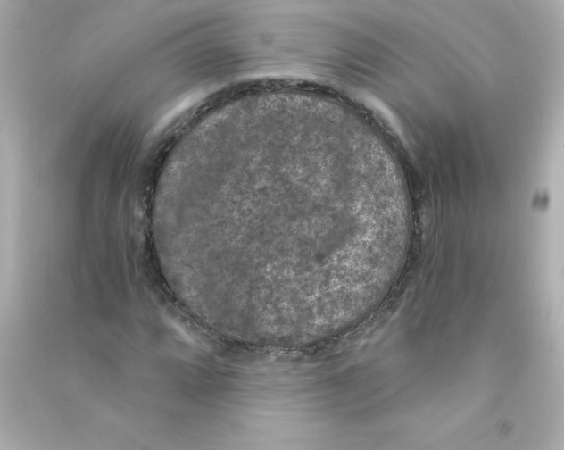 X0000090441064200708102022