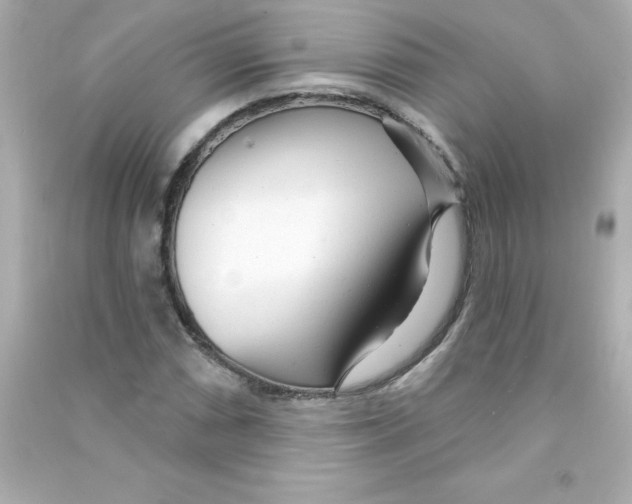 X0000090441066200708102022