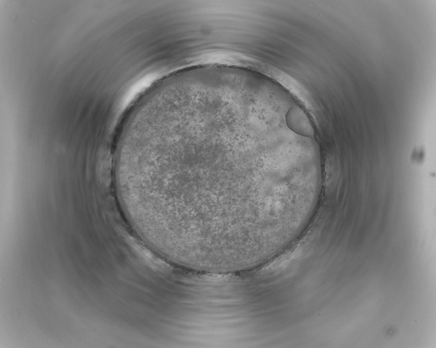 X0000090441067200708102022