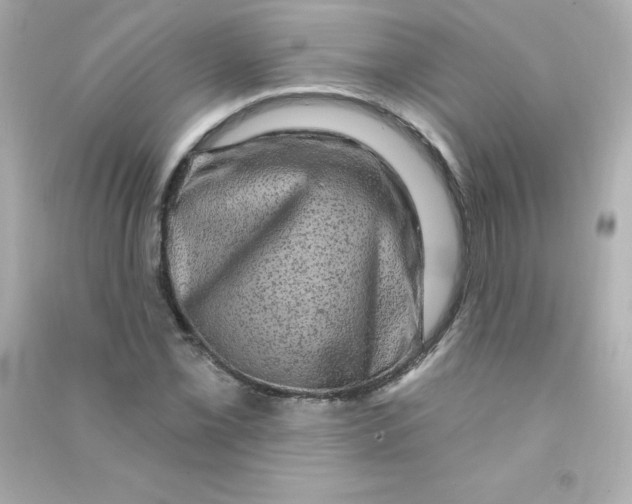 X0000090441069200708102022