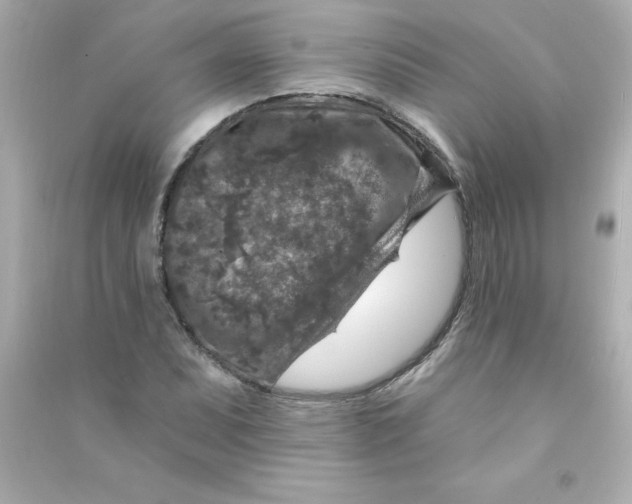 X0000090441071200708102022