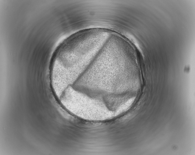 X0000090441072200708102022