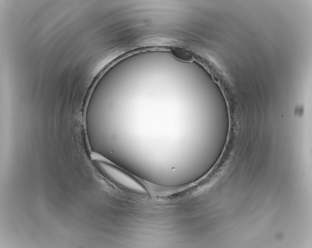 X0000090441073200708102022