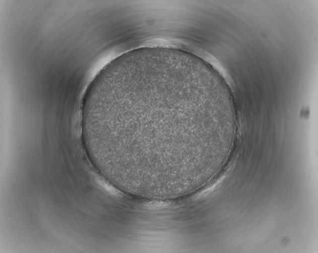 X0000090441075200708102022