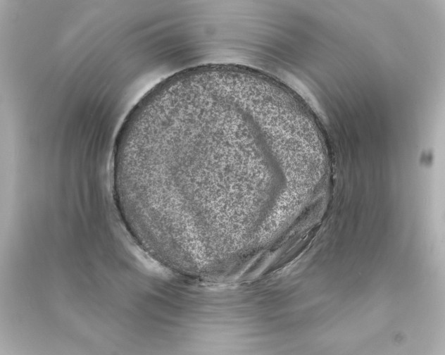 X0000090441076200708102022