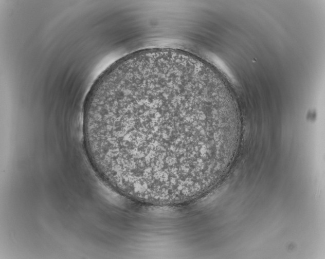 X0000090441079200708102022