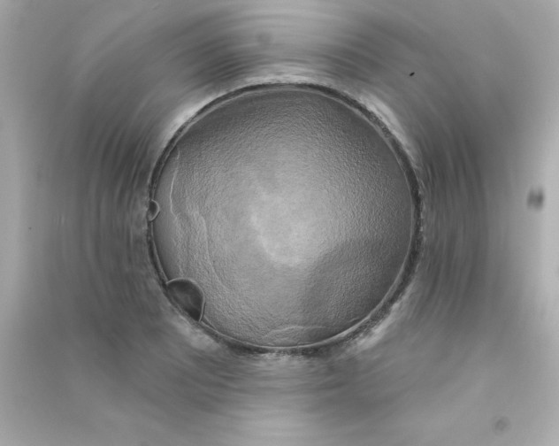 X0000090441081200708102022