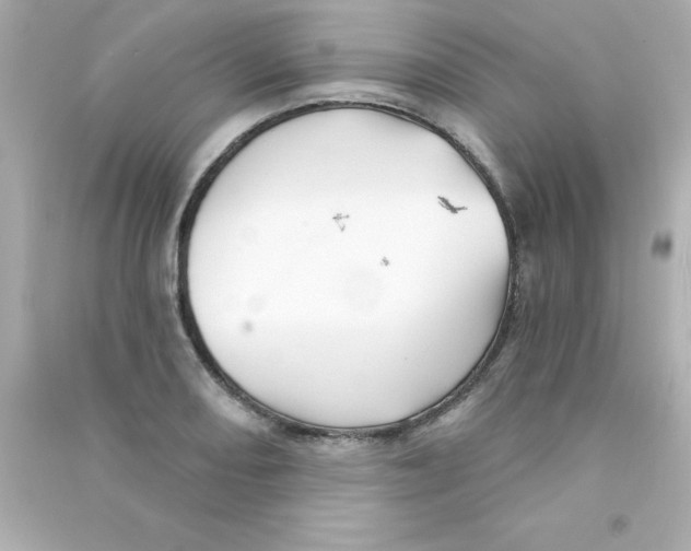 X0000090441082200708102022