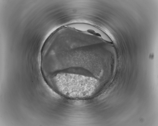 X0000090441084200708102022