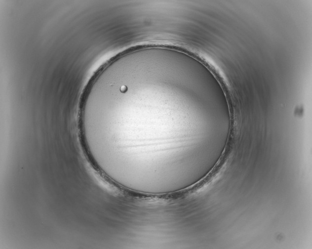 X0000090441085200708102022