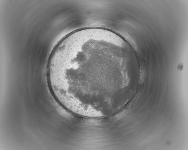 X0000090441086200708102022