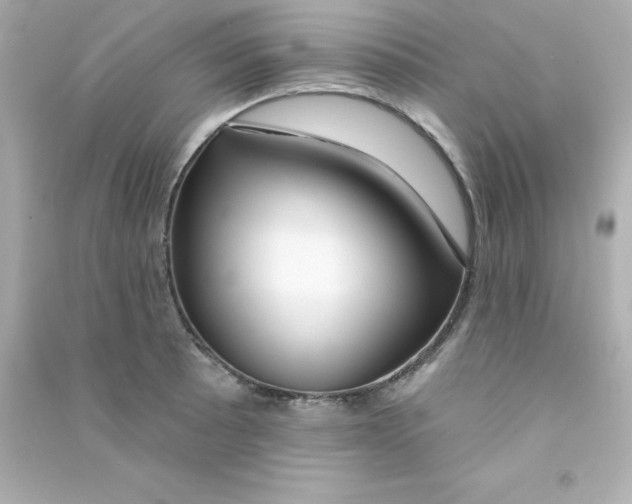 X0000090441089200708102022