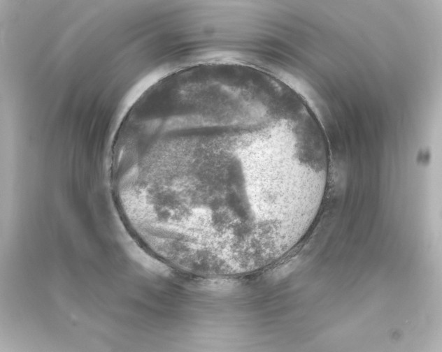 X0000090441090200708102022