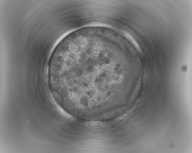 X0000090441092200708102022