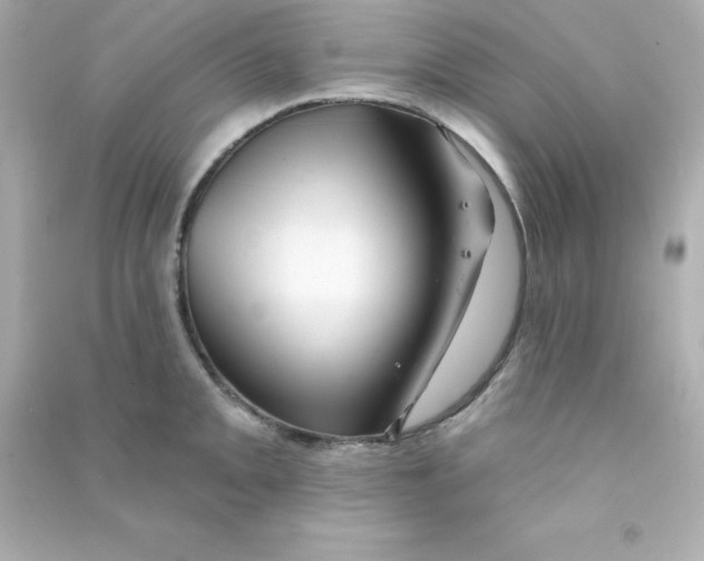 X0000090441093200708102022